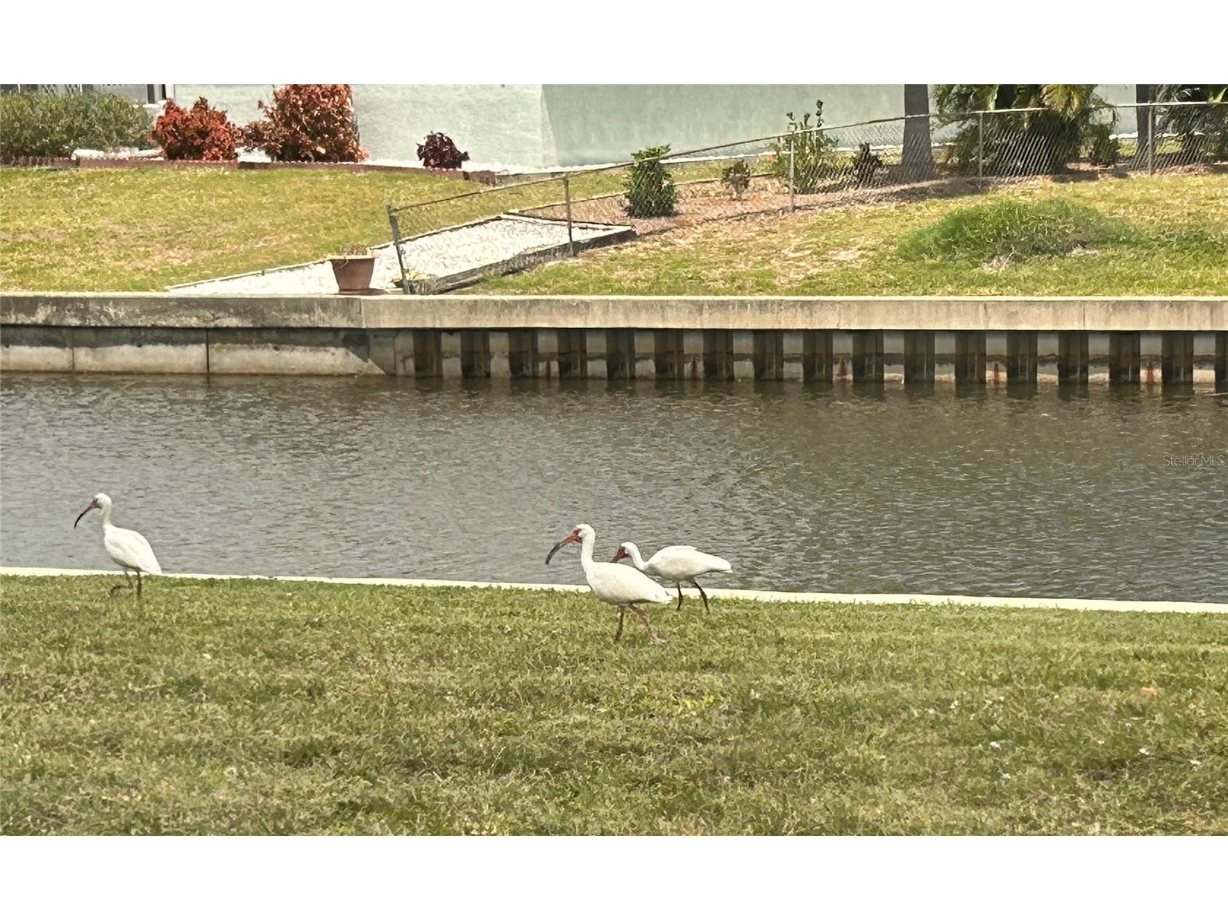 123 Poinsettia Circle NE Port Charlotte FL 33952 C7525256 image50
