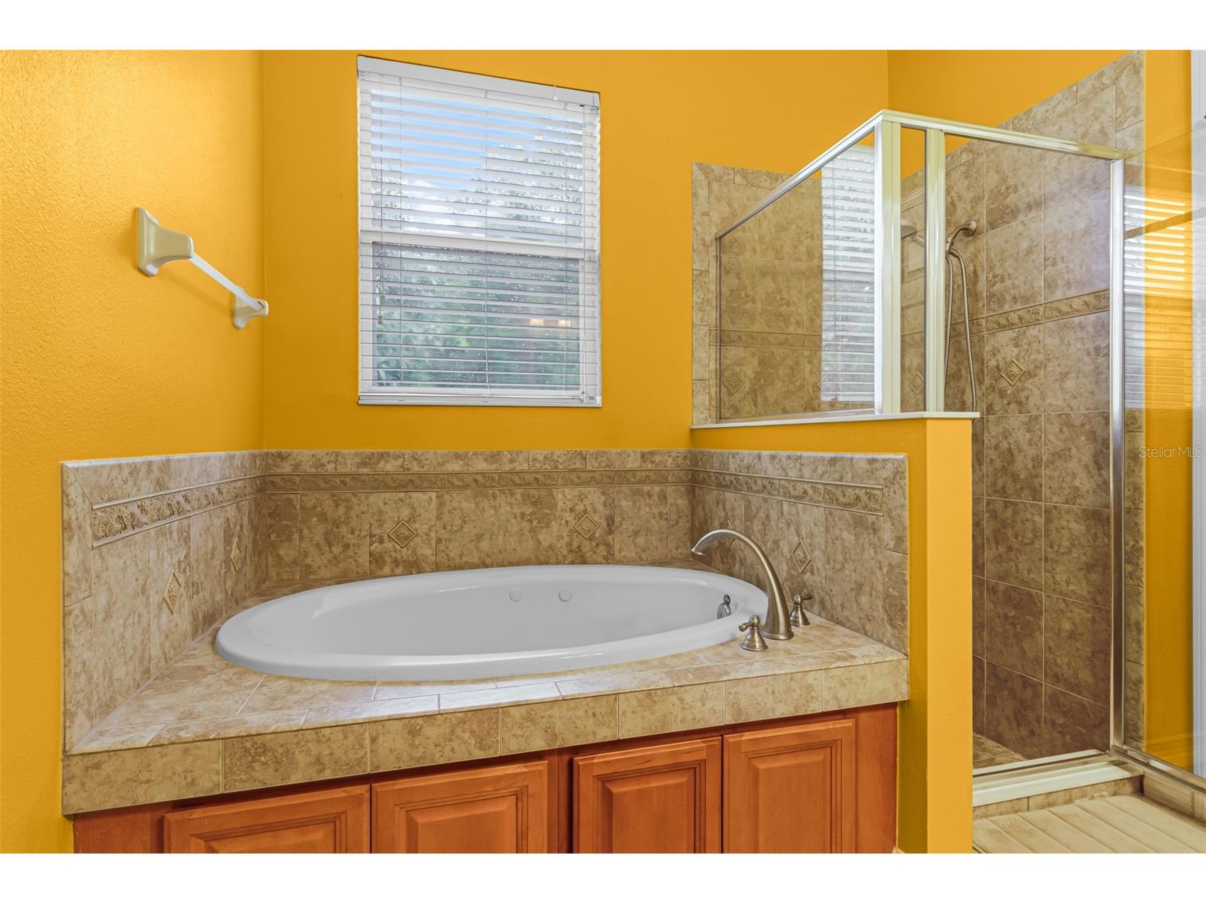 123 Preston Avenue Davenport FL 33837 S5130880 image5