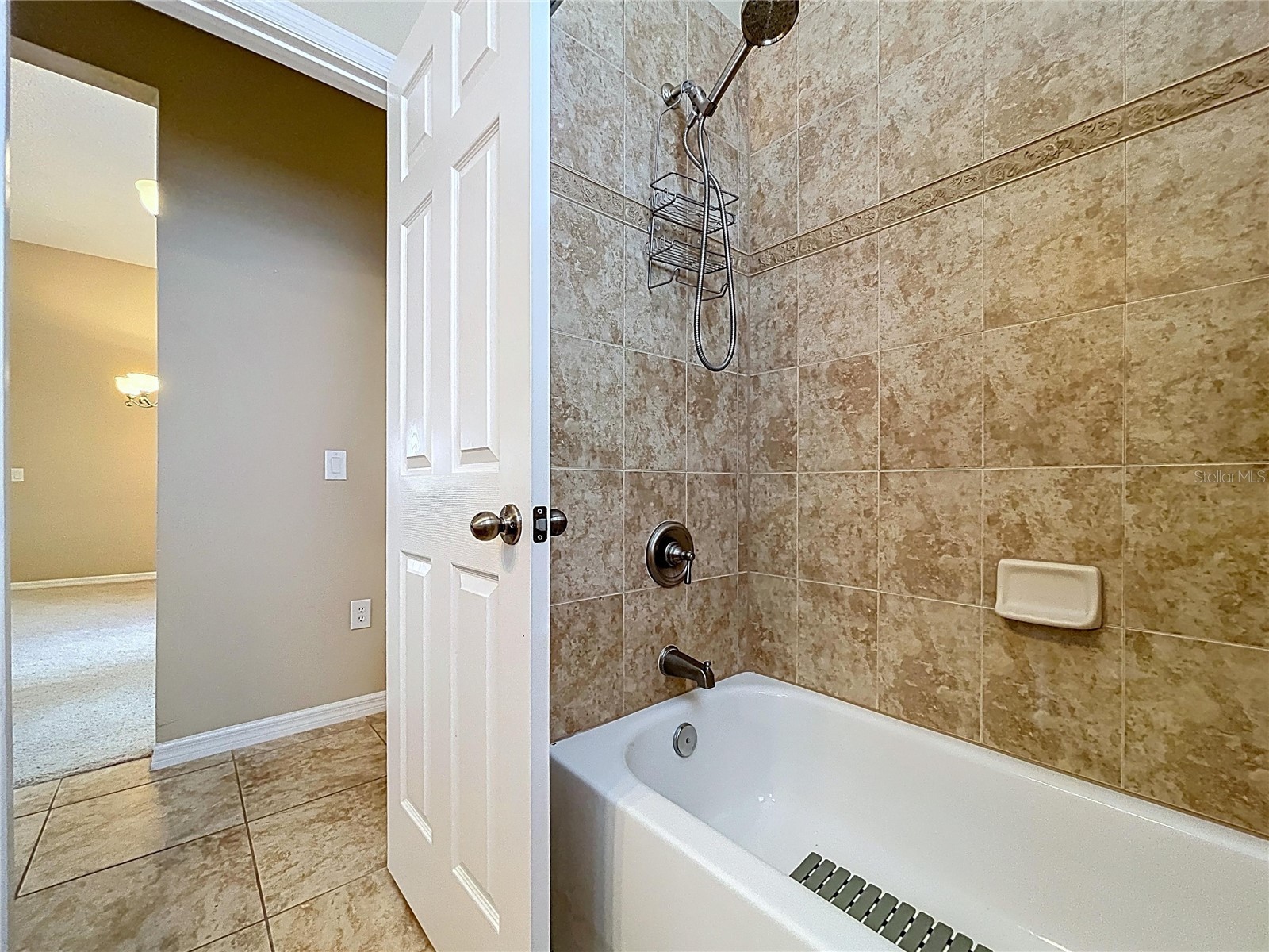 123 Preston Avenue Davenport FL 33837 S5153201 image47