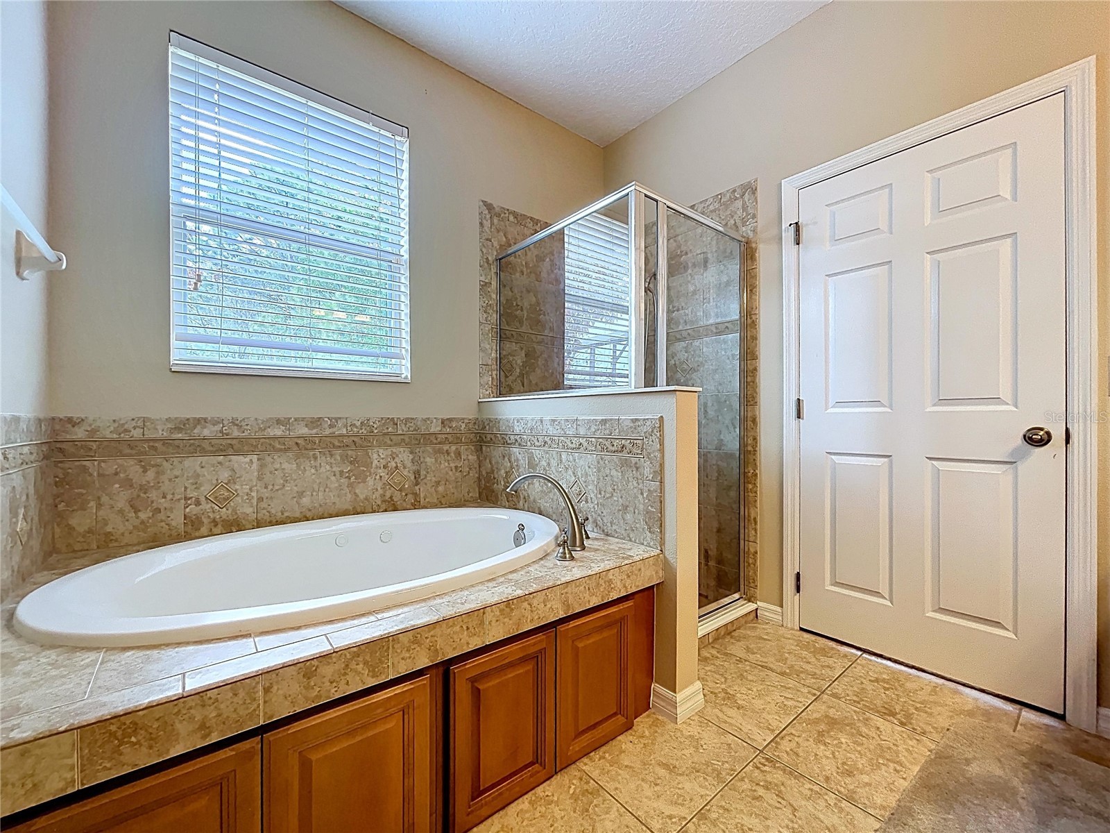 123 Preston Avenue Davenport FL 33837 S5153201 image63