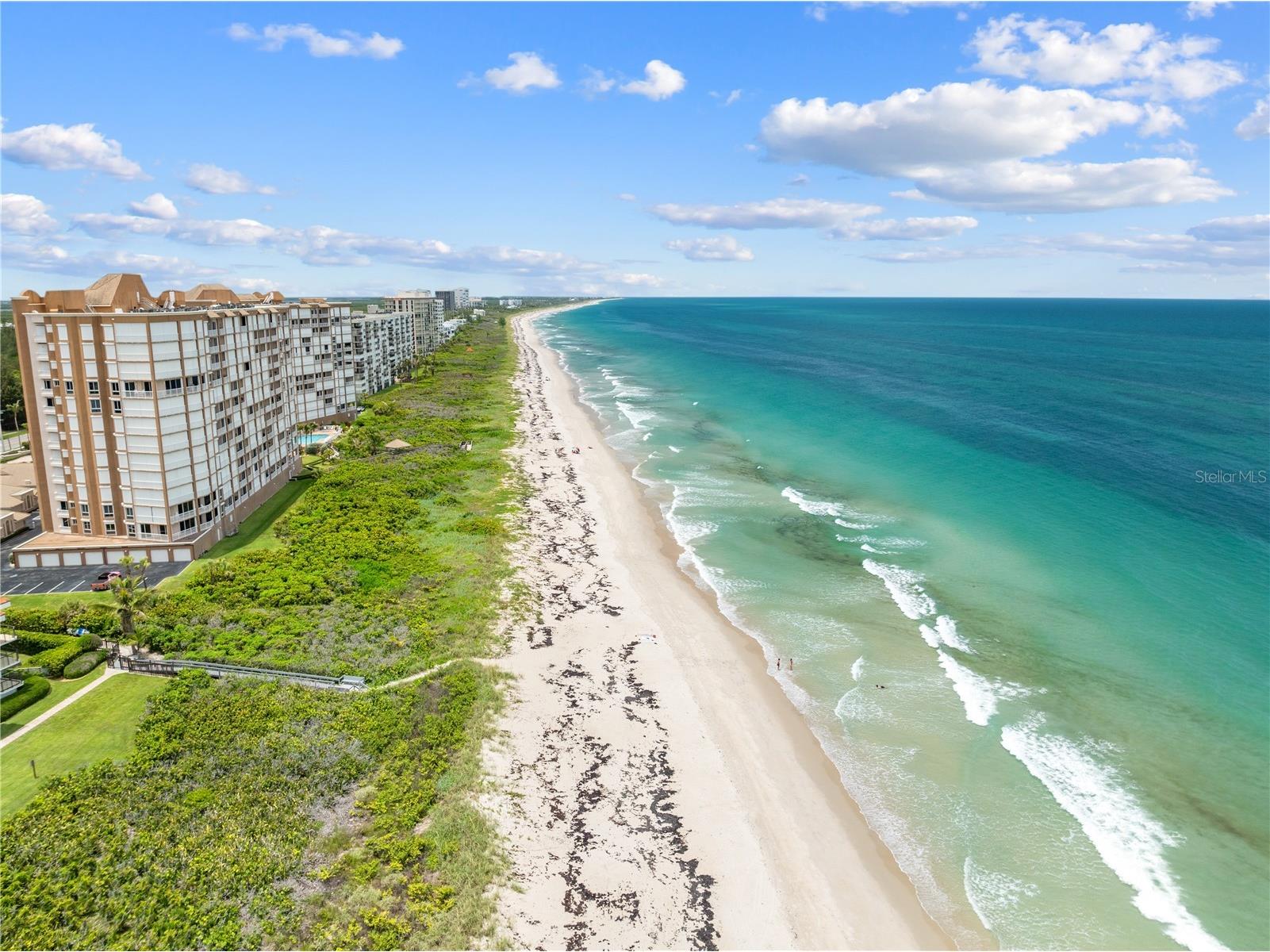 123 Queen Ann Court Hutchinson Island FL 34949 S5152718 image48