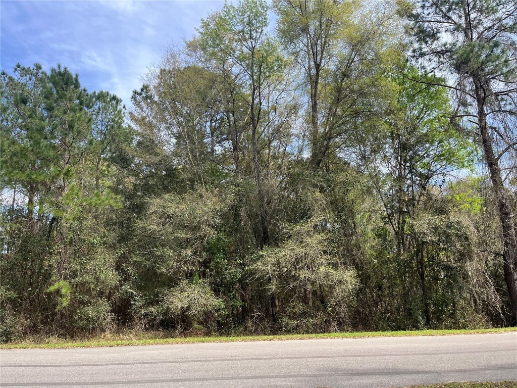 123 Ramsey Drive Melrose FL 32666 OK223831 image1