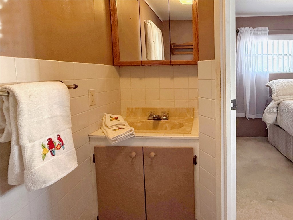 123 Saint Kitts Way Apollo Beach FL 33572 TB8444964 image10
