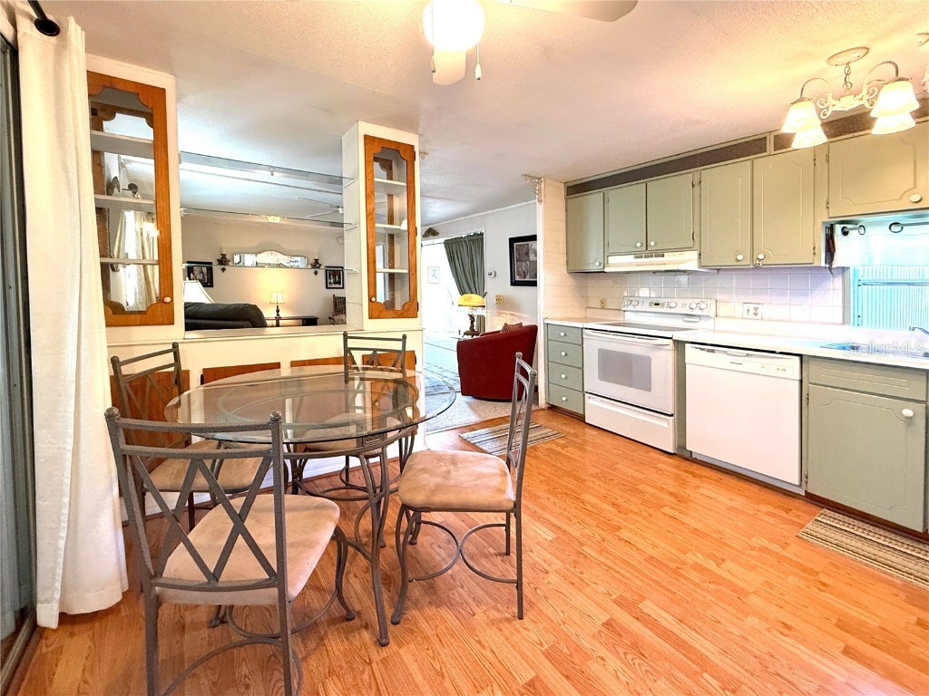 123 Saint Kitts Way Apollo Beach FL 33572 TB8444964 image8