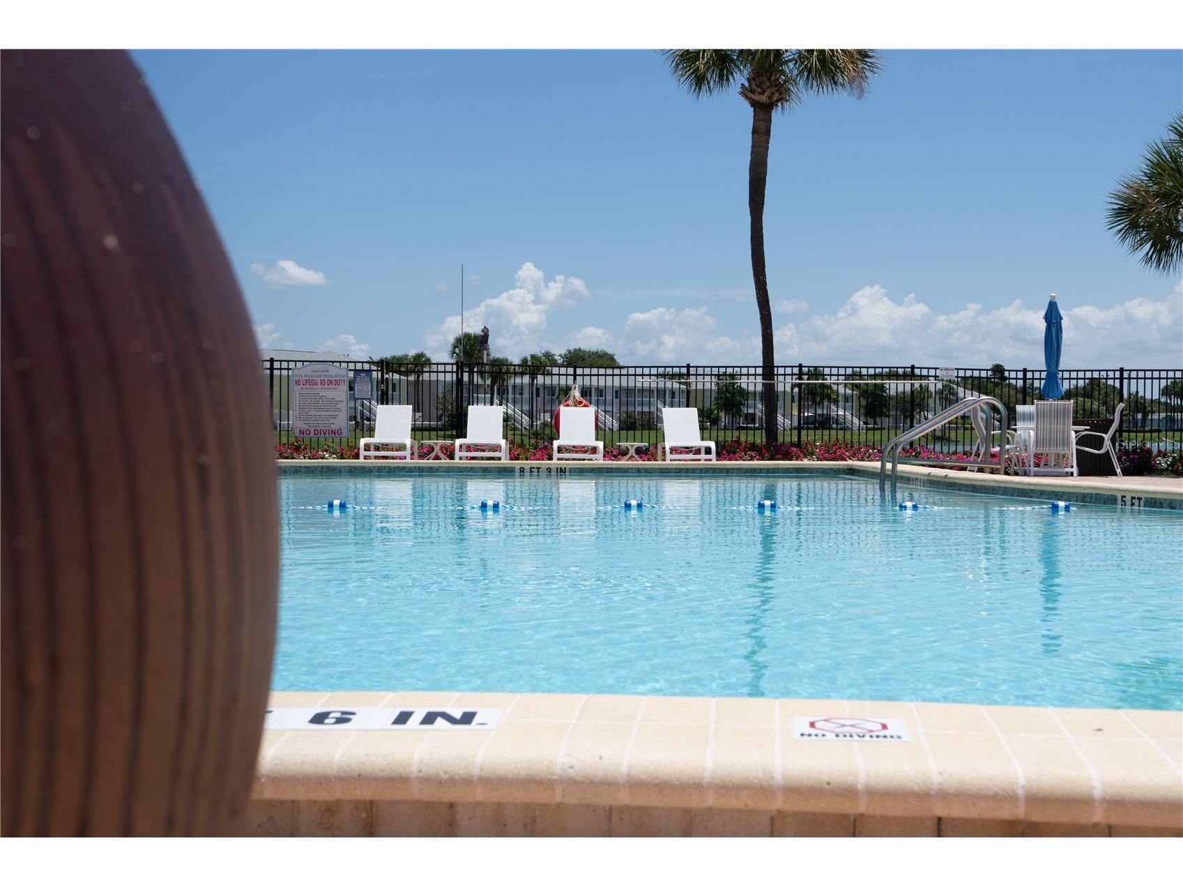 123 Seahorse Drive SE #D Saint Petersburg FL 33705 TB8525607 image16