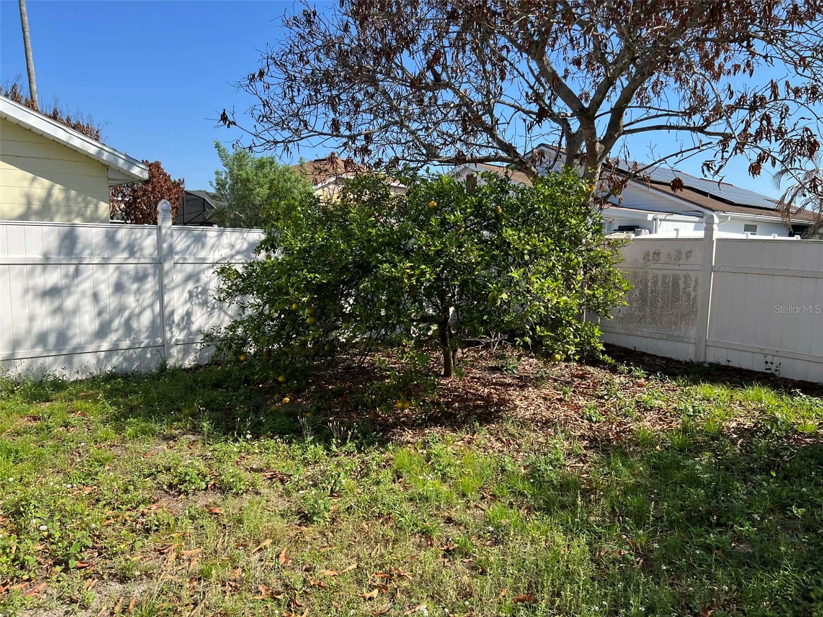 123 Sunwood Court Kissimmee FL 34743 S5146649 image16