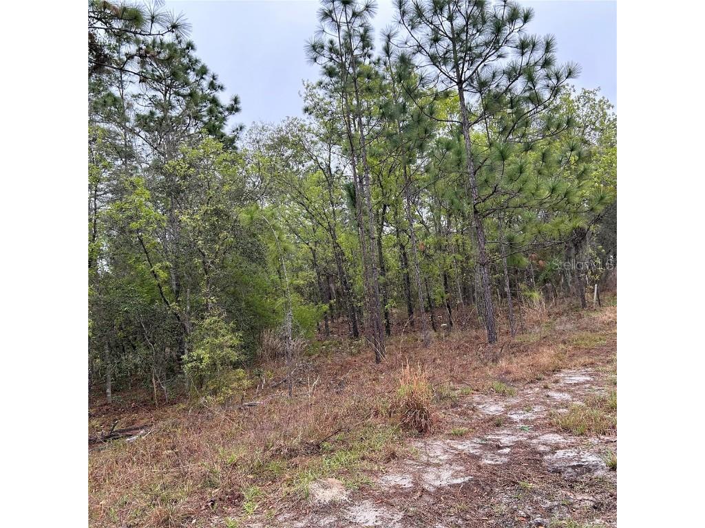 123 SW 66 Street Ocala FL 34481 OM654881 image1