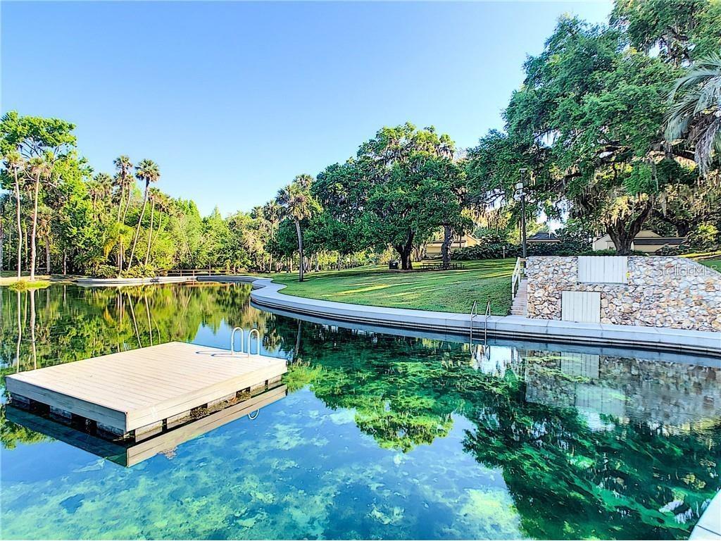 123 Tomoka Trail #123 Longwood FL 32779 - WEKIVA V4941609 image13