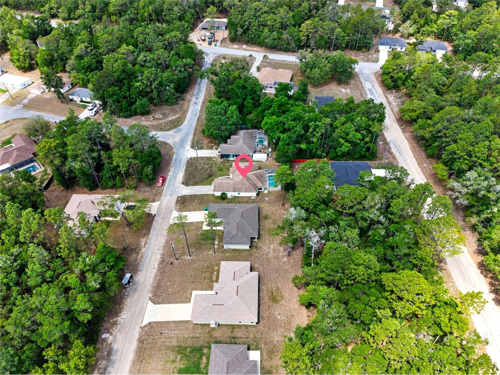 123 W Camino Lane Citrus Springs FL 34434 O6405115 image49