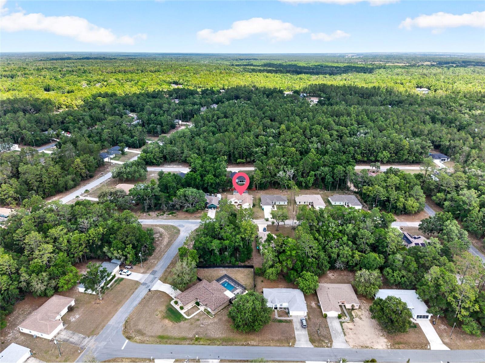 123 W Camino Lane Citrus Springs FL 34434 O6405115 image52