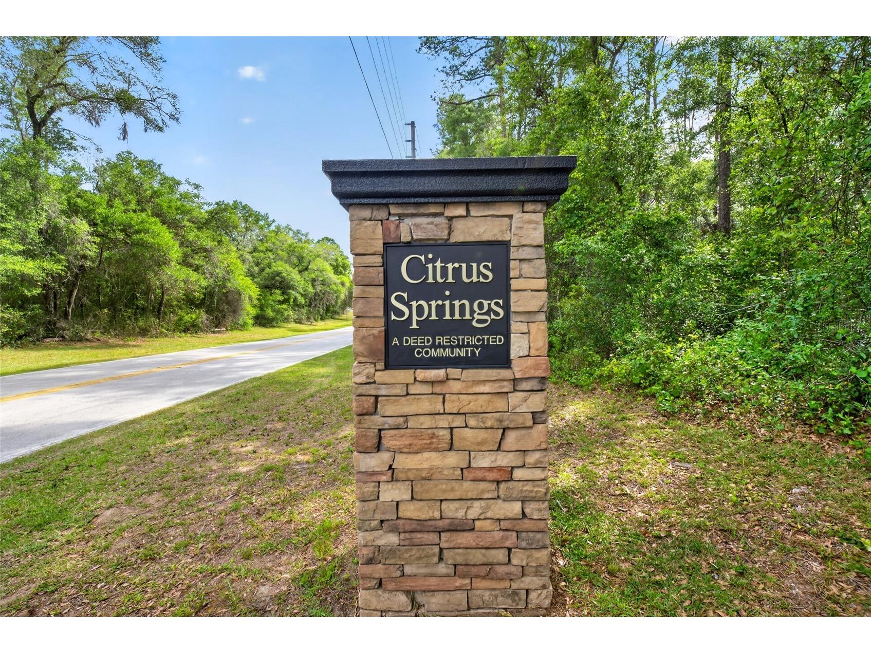 123 W Camino Lane Citrus Springs FL 34434 O6405115 image53