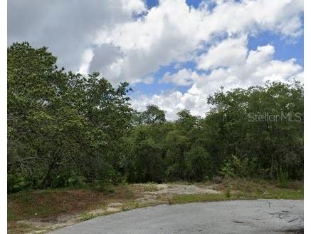 123 Warmouth Lane Poinciana FL 34759 B4901437 image1