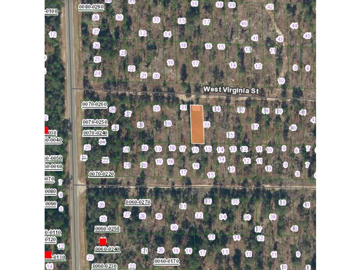 123 West Virginia Street Hawthorne FL 32640 FC315457 image2