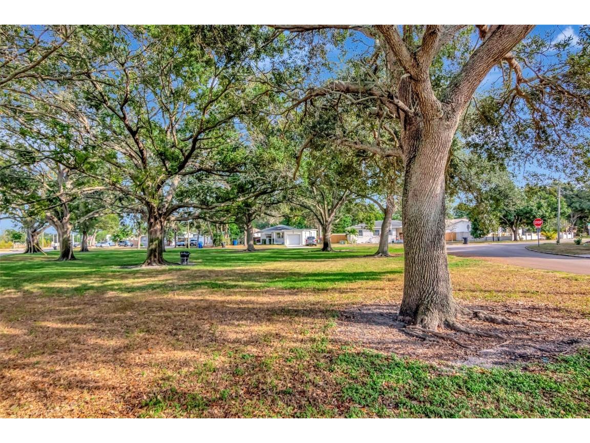 1230 32nd Street N Saint Petersburg FL 33713 TB8453495 image36