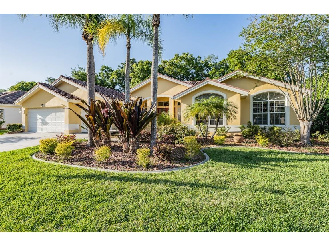 1230 Berkshire Lane Tarpon Springs FL 34688 U8156990 image1