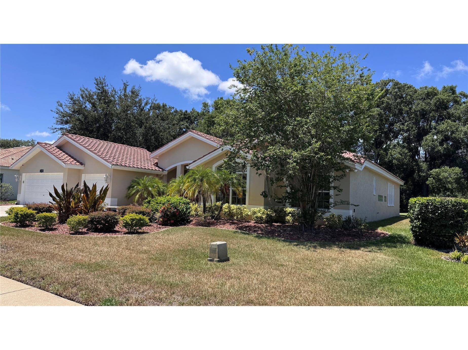 1230 Berkshire Lane Tarpon Springs FL 34688 O6419298 image3