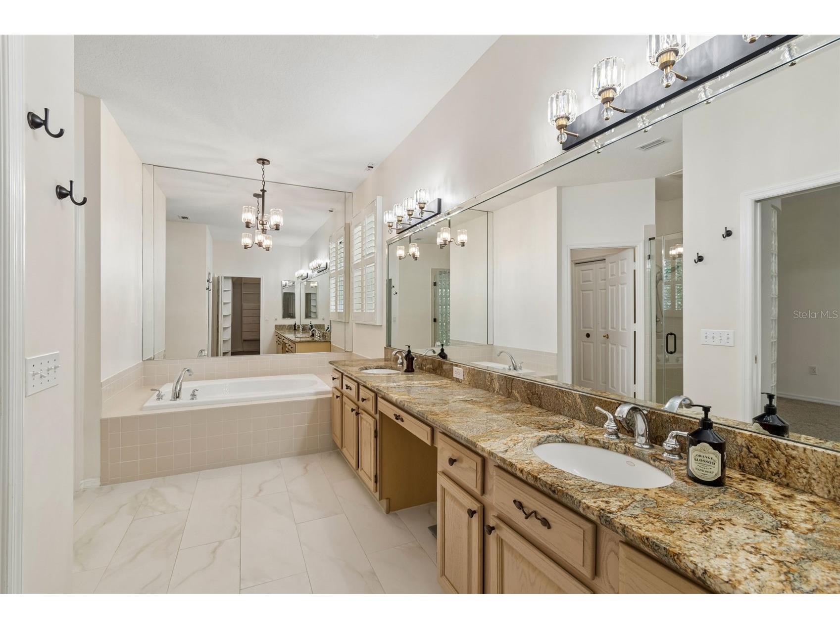 1230 Berkshire Lane Tarpon Springs FL 34688 O6419298 image34