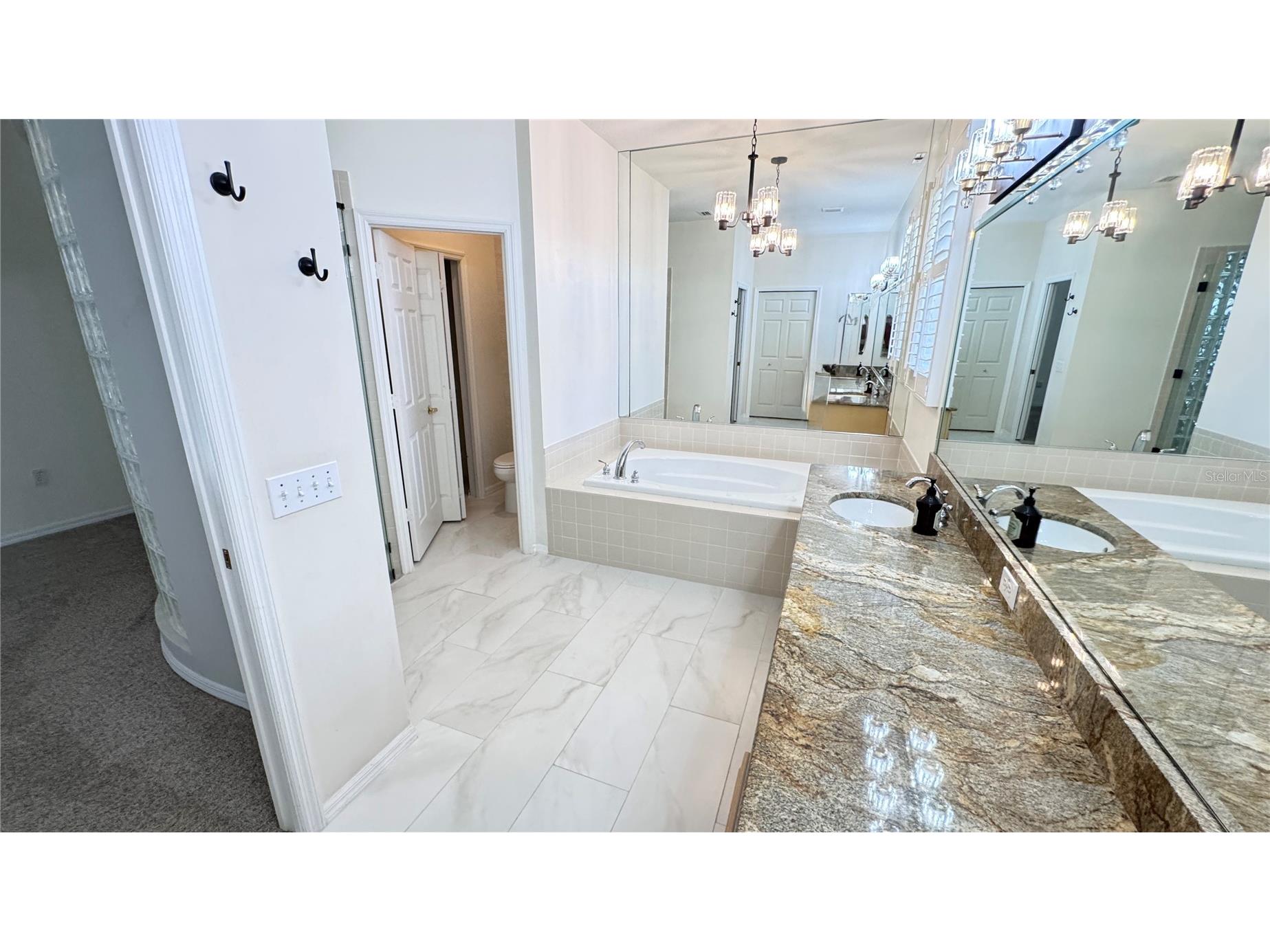 1230 Berkshire Lane Tarpon Springs FL 34688 O6419298 image36