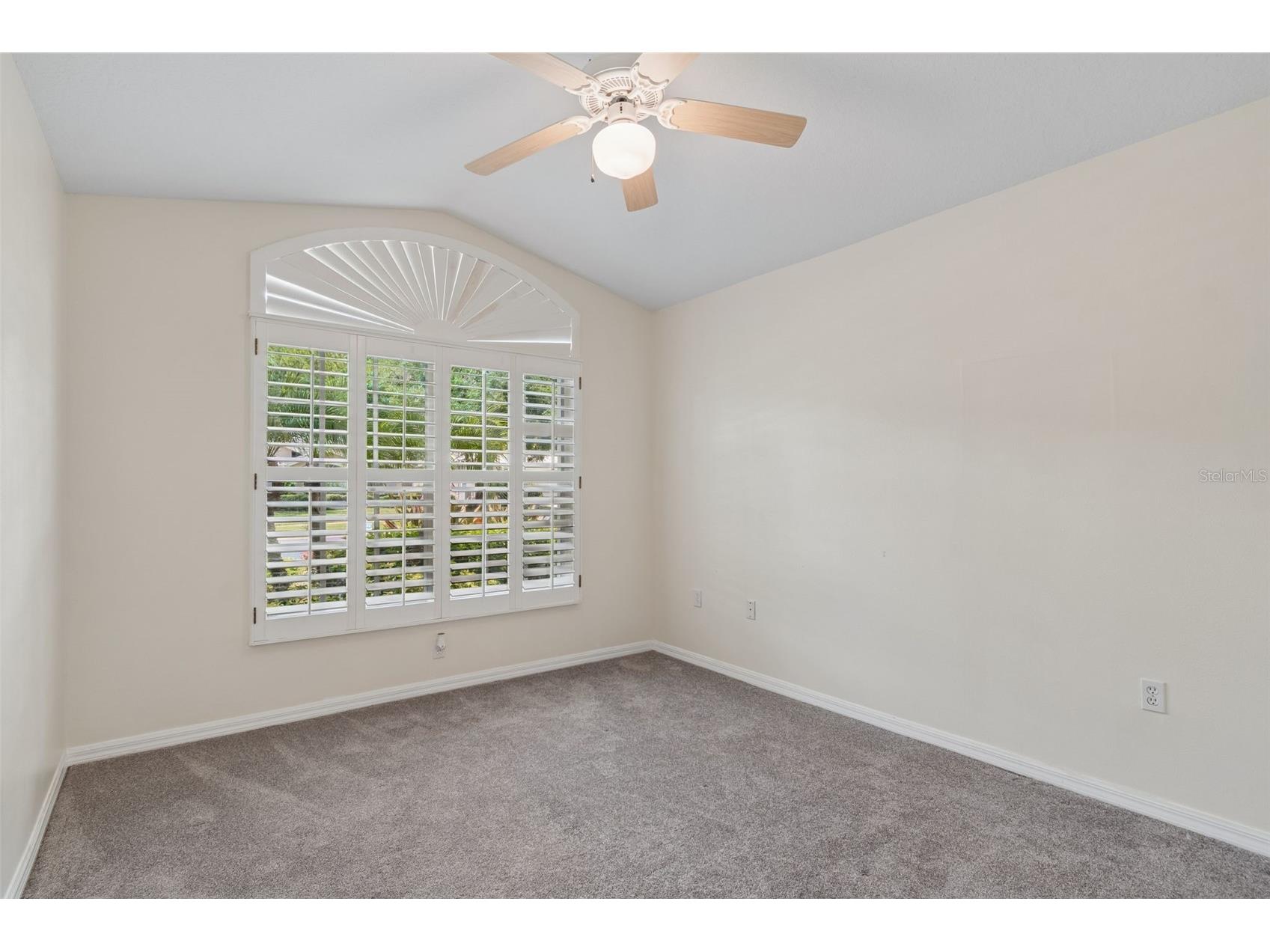 1230 Berkshire Lane Tarpon Springs FL 34688 O6419298 image41