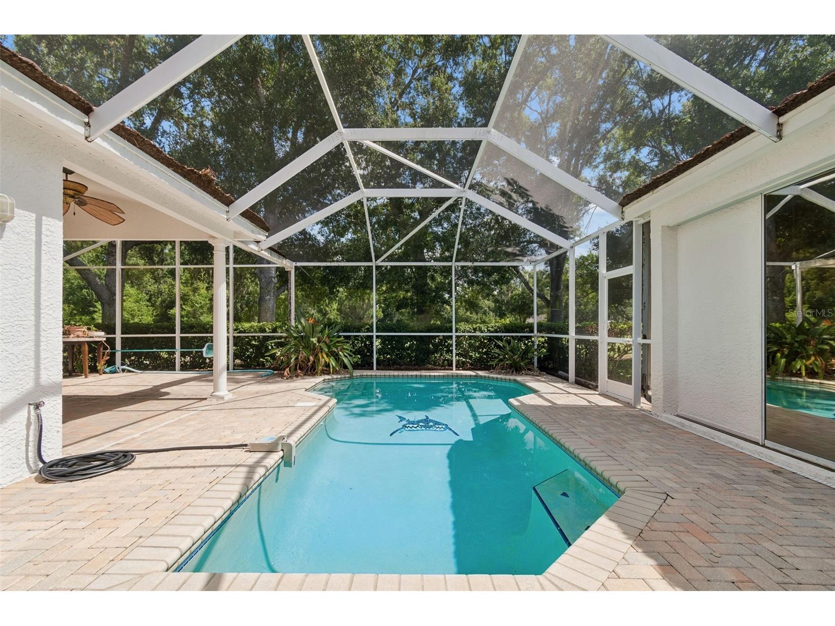 1230 Berkshire Lane Tarpon Springs FL 34688 O6419298 image53