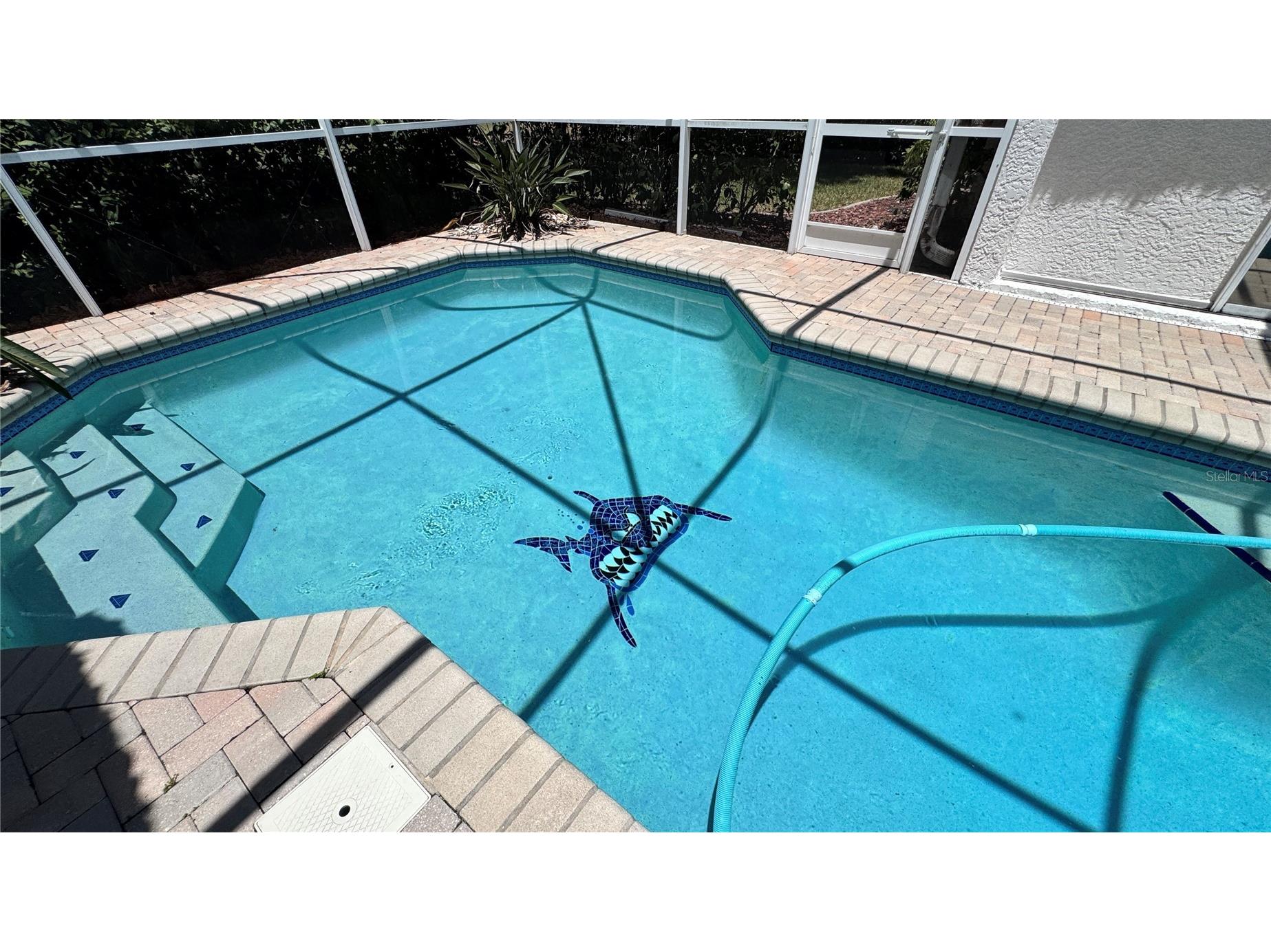 1230 Berkshire Lane Tarpon Springs FL 34688 O6419298 image54