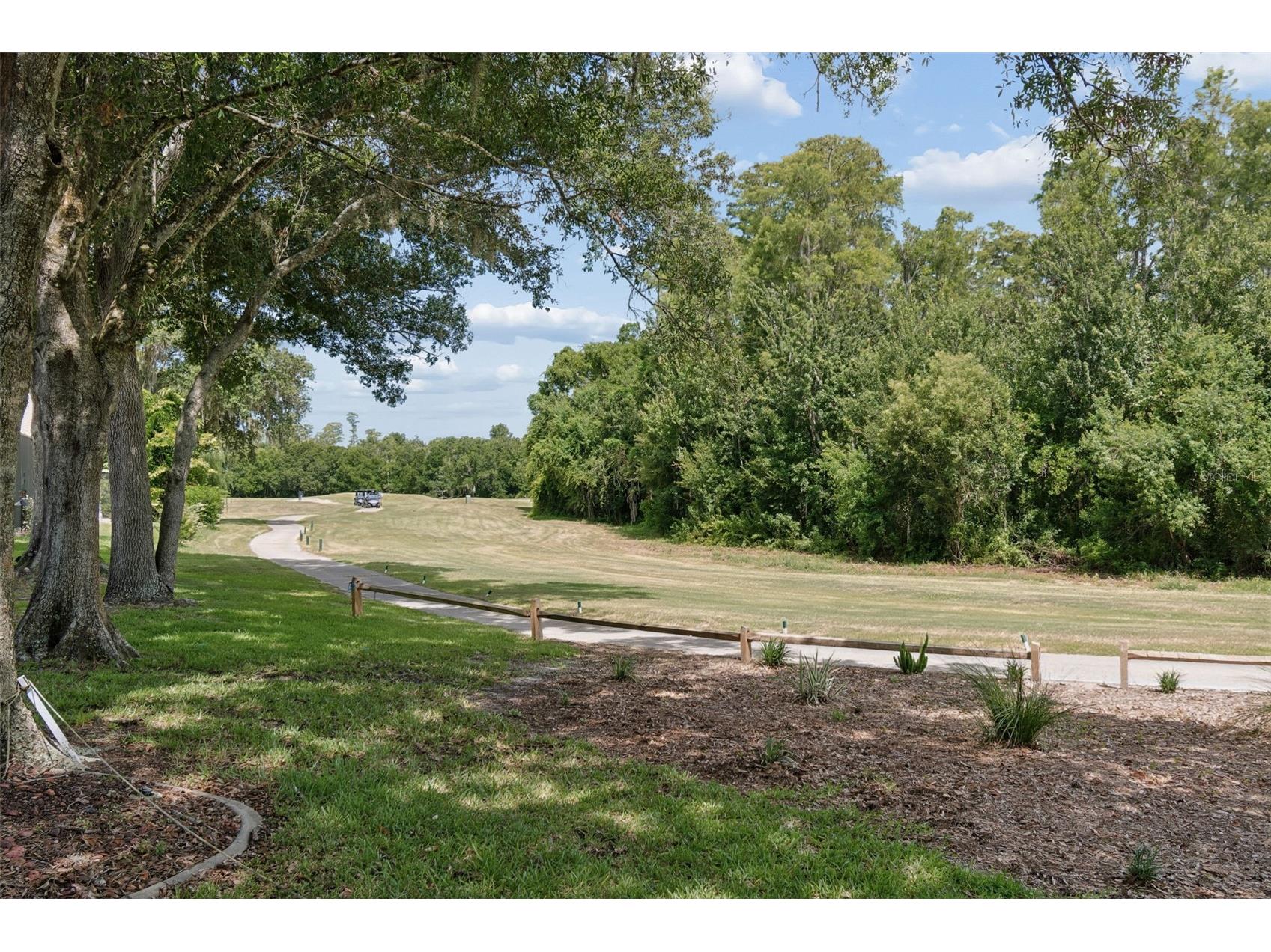 1230 Berkshire Lane Tarpon Springs FL 34688 O6419298 image61