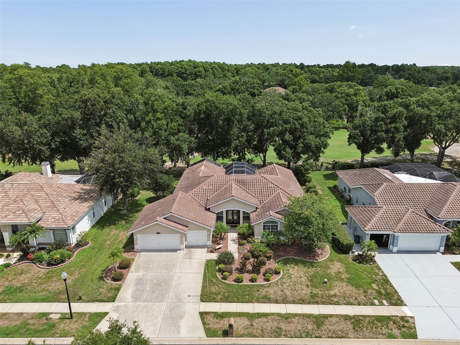 1230 Berkshire Lane Tarpon Springs FL 34688 O6419298 image70