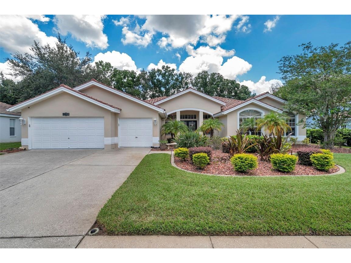 1230 Berkshire Lane Tarpon Springs FL 34688 TB8410872 image1