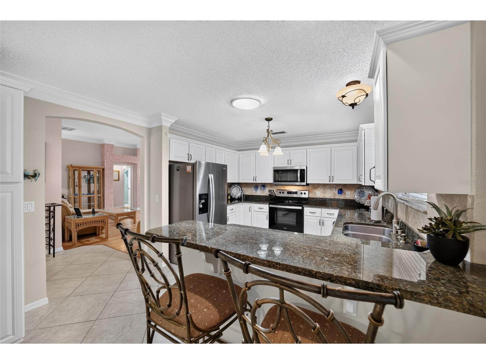 1230 Desilva Street The Villages FL 32159 G5114625 image33
