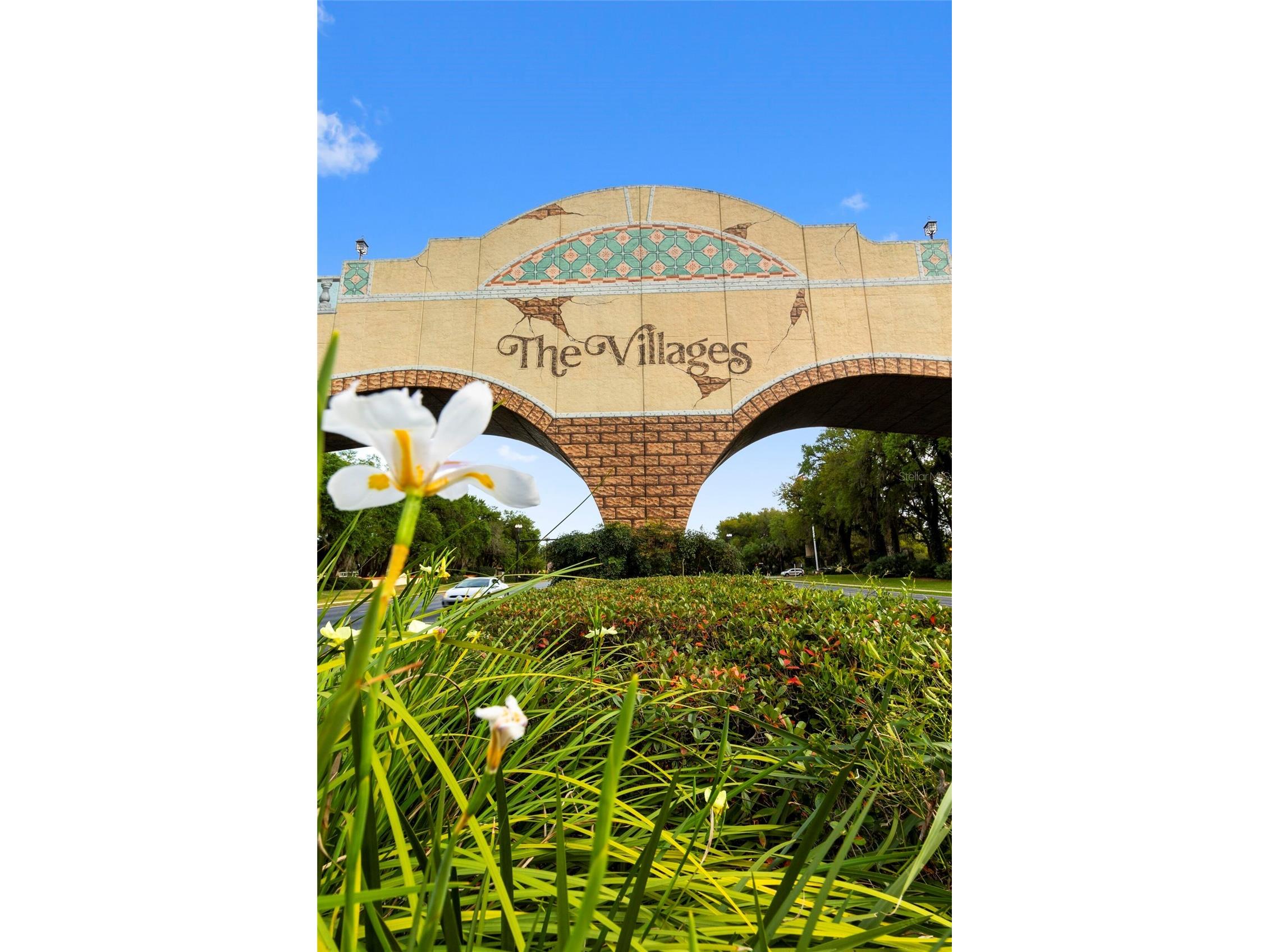 1230 Desilva Street The Villages FL 32159 G5114625 image65