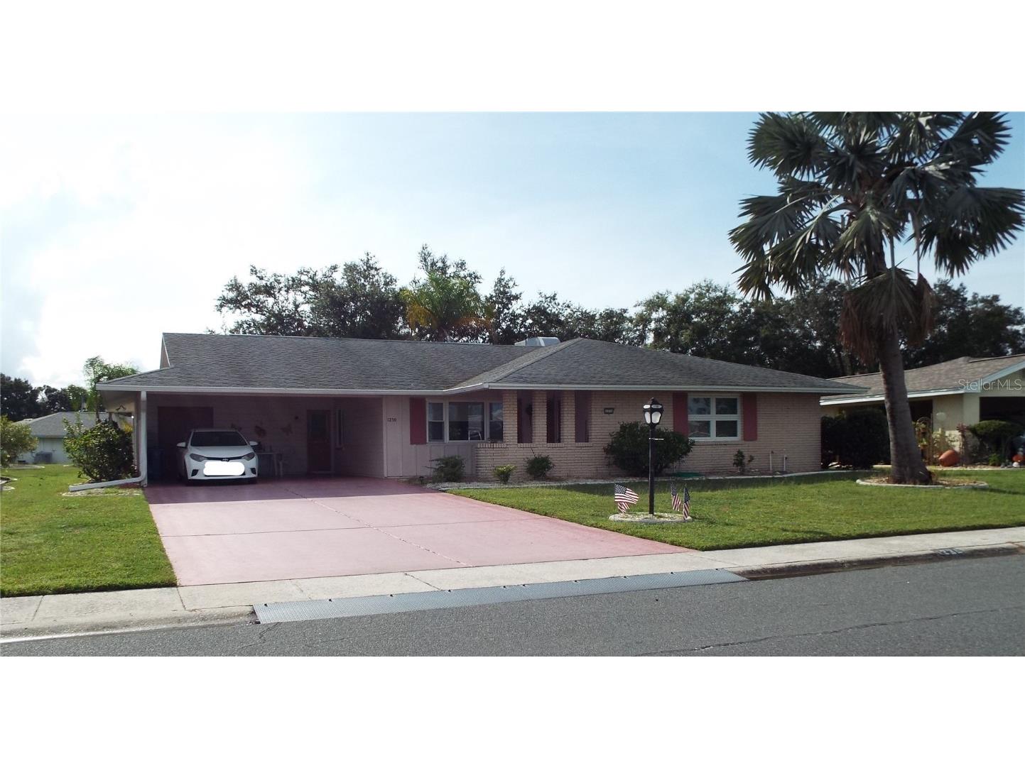 1230 Fordham Drive Sun City Center FL 33573 T3328612 image1