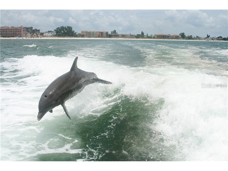 1230 Gulf Boulevard #1507 Clearwater FL 33767 U8228646 image46