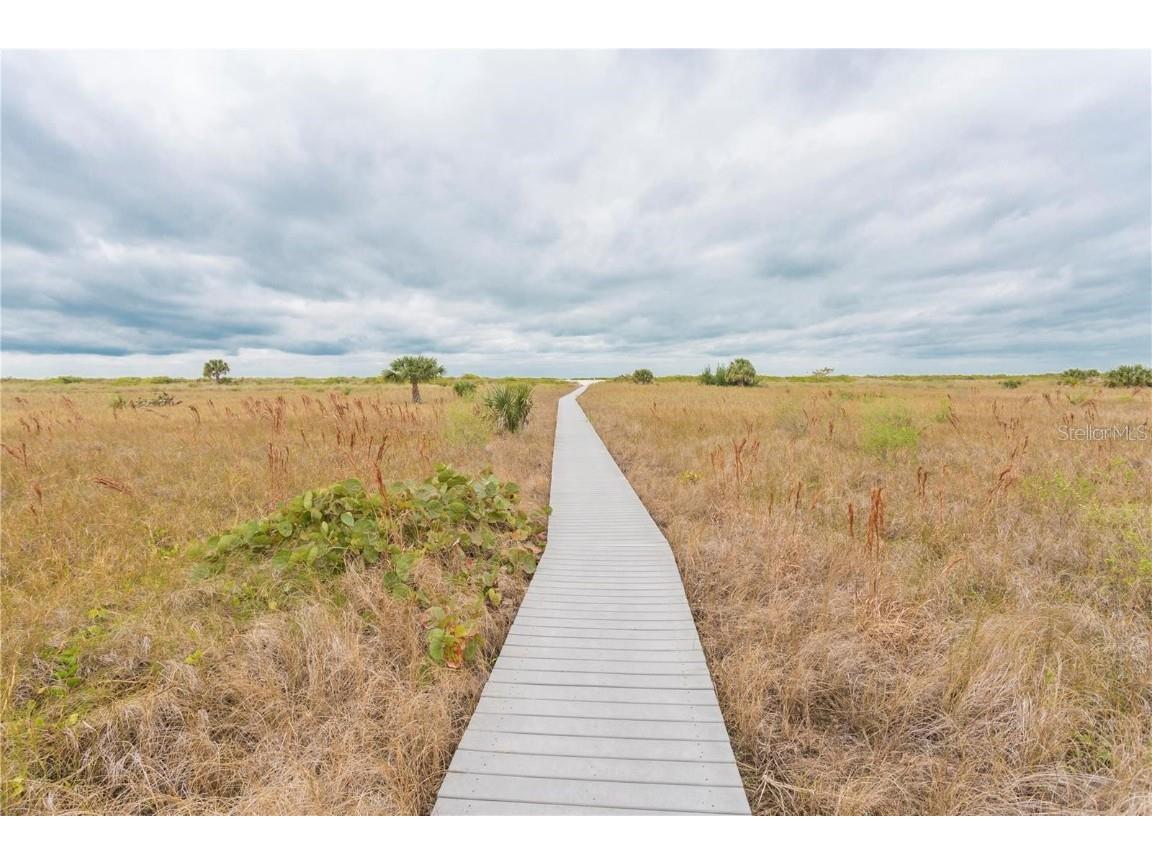 1230 Gulf Boulevard #304 Clearwater FL 33767 - GULF OF MEXICO TB8414176 image30