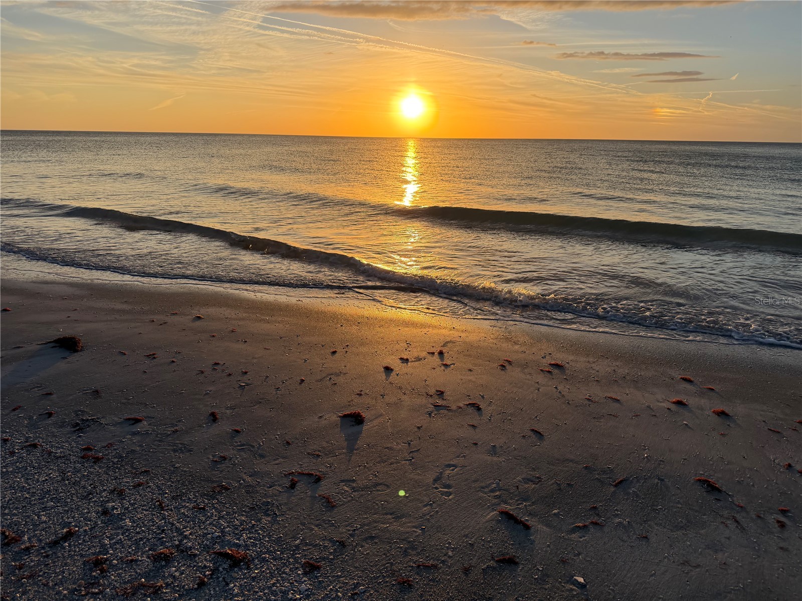 1230 Gulf Boulevard #304 Clearwater FL 33767 - GULF OF MEXICO TB8494084 image28