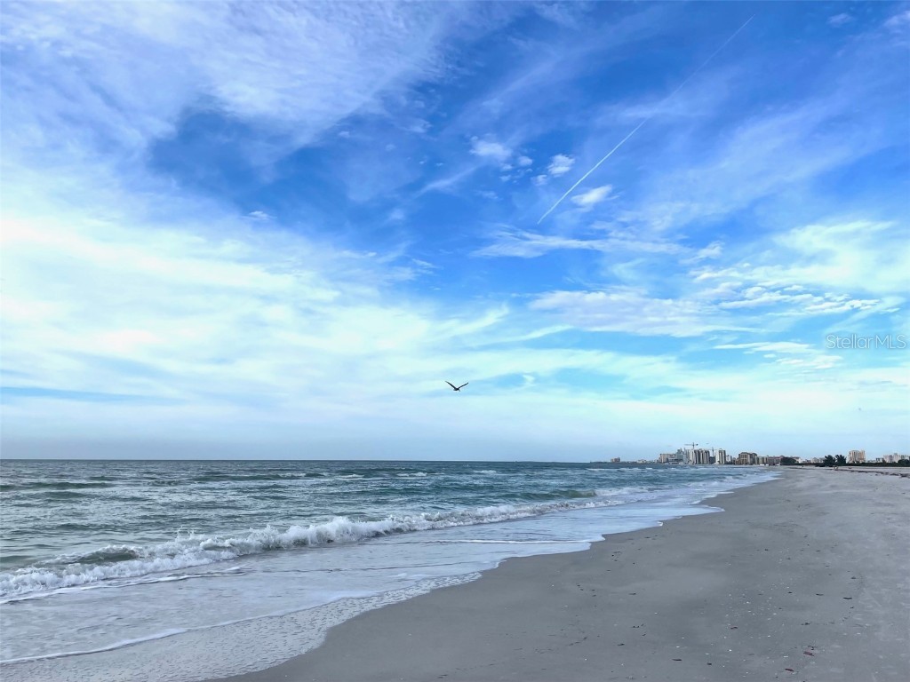 1230 Gulf Boulevard #508 Clearwater Beach FL 33767 TB8428408 image10