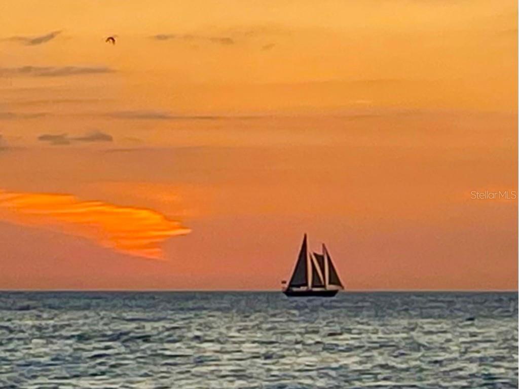 1230 Gulf Boulevard #508 Clearwater Beach FL 33767 TB8428408 image9