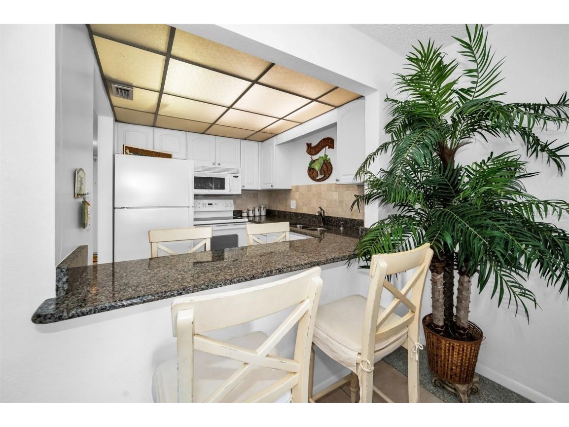 1230 Gulf Boulevard #805 Clearwater Beach FL 33767 - GULF OF MEXICO TB8332287 image15