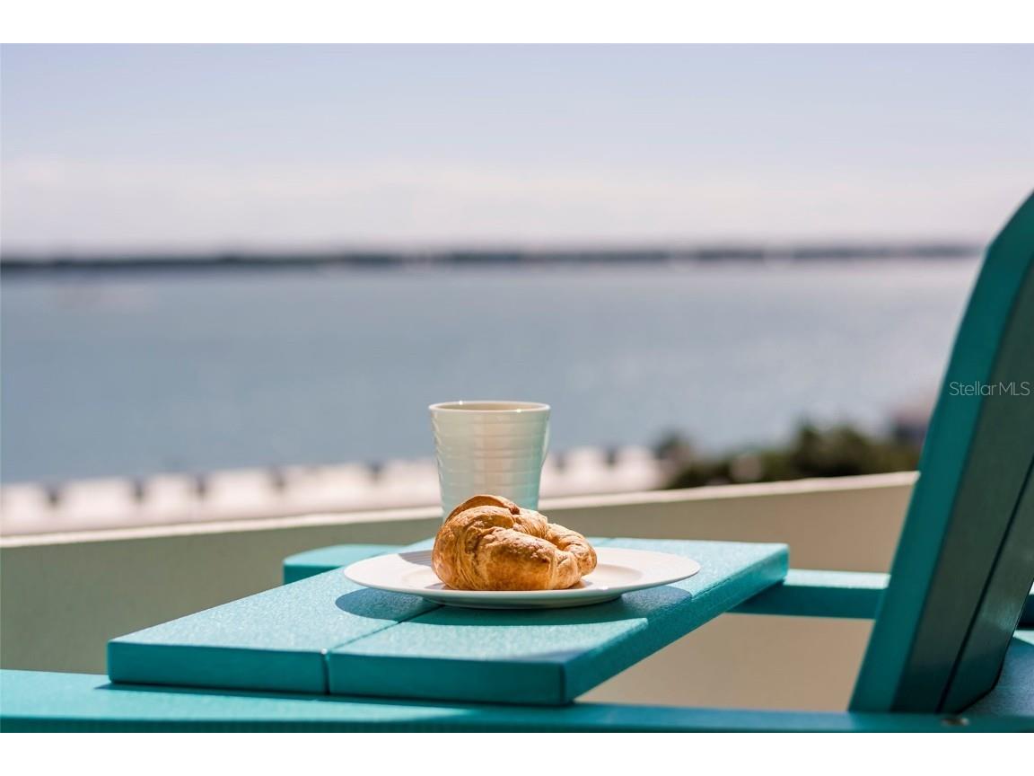 1230 Gulf Boulevard #903 Clearwater Beach FL 33767 TB8344898 image20