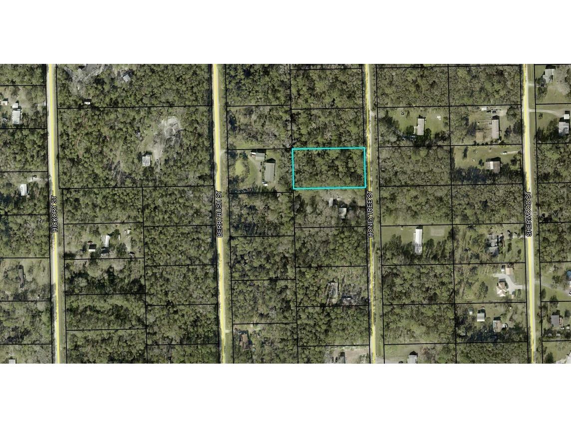 1230 Honeytree Street Bunnell FL 32110 FC310610 image1