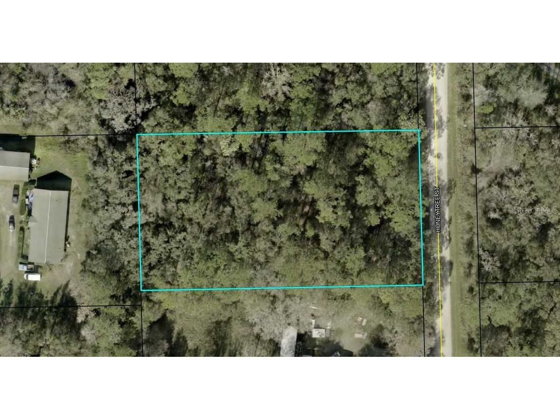 1230 Honeytree Street Bunnell FL 32110 FC310610 image2