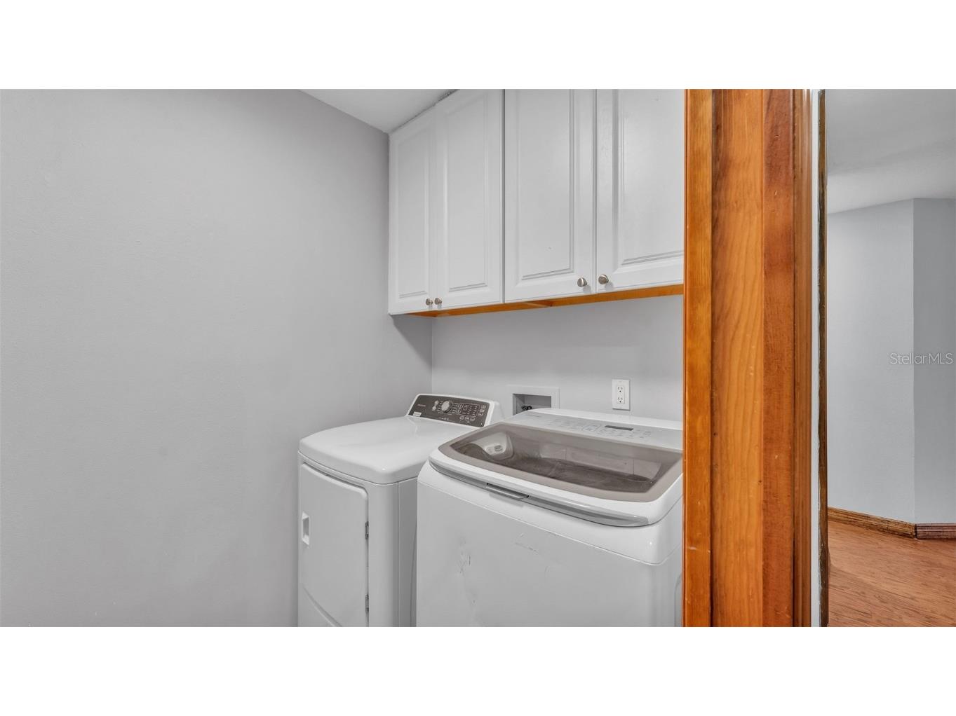 1230 Odoniel Loop S Lakeland FL 33809 L4954393 image23