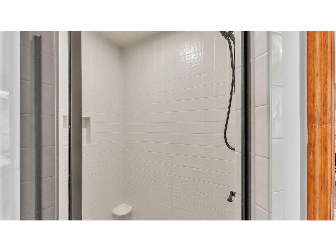 1230 Odoniel Loop S Lakeland FL 33809 L4954393 image30