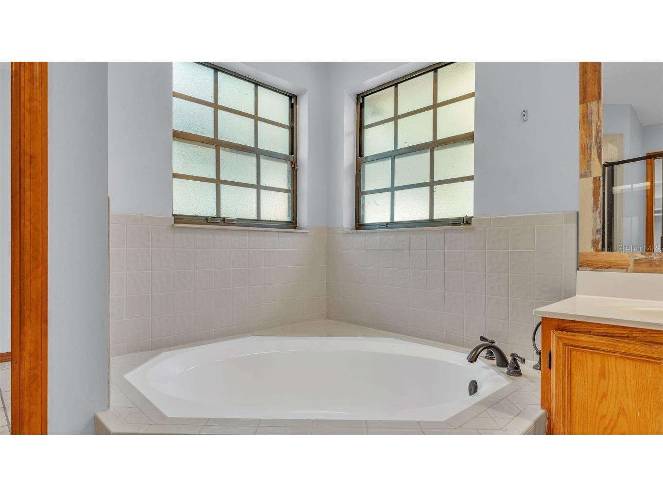 1230 Odoniel Loop S Lakeland FL 33809 L4954393 image31