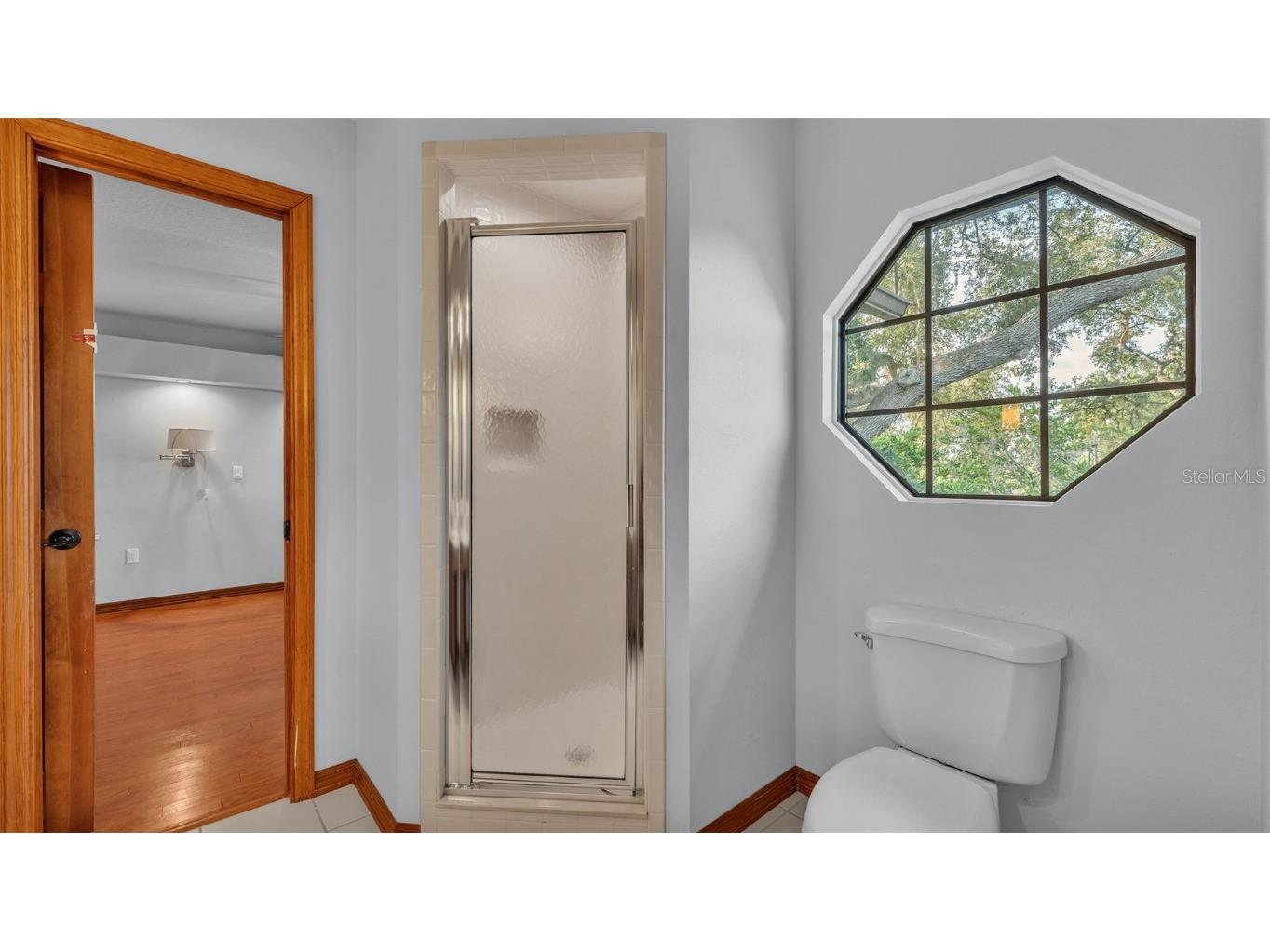 1230 Odoniel Loop S Lakeland FL 33809 L4954393 image43