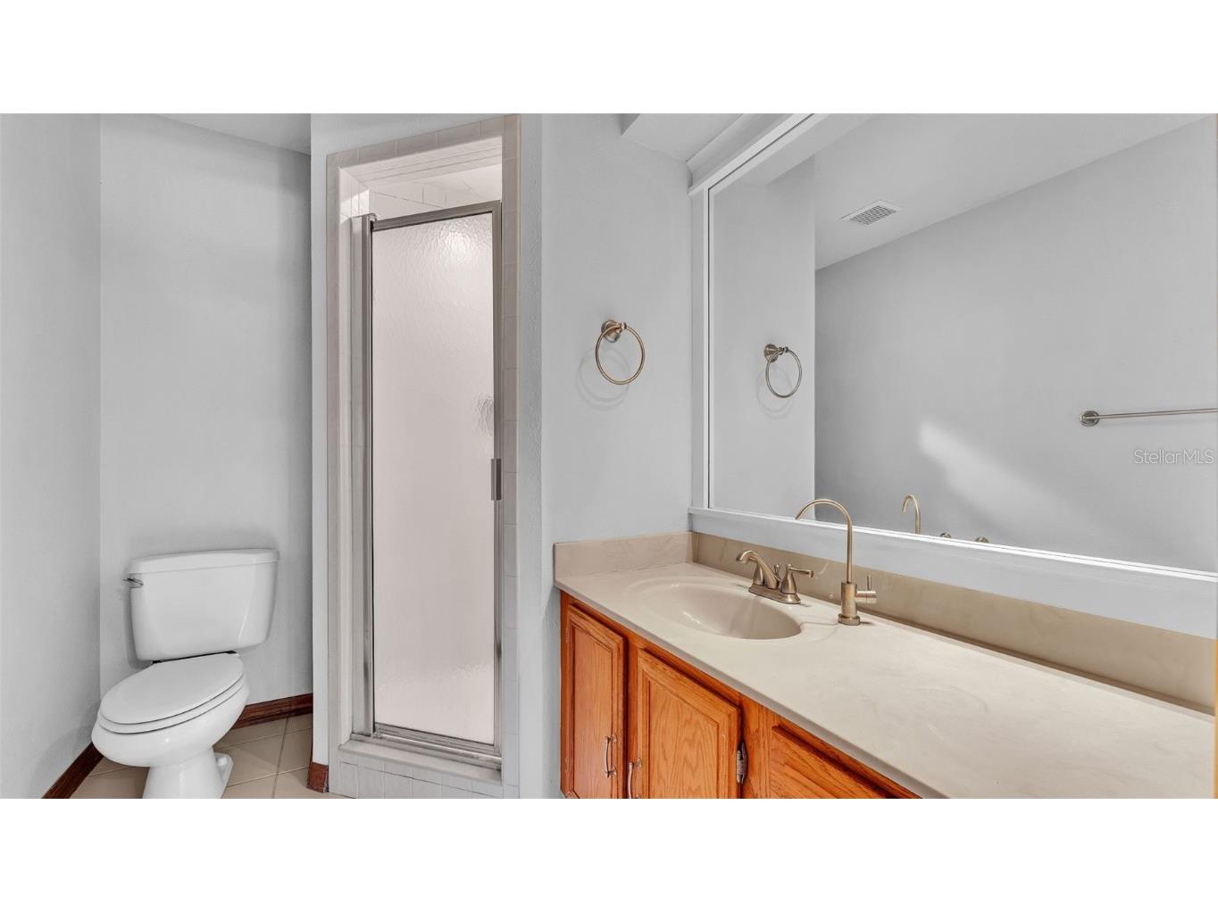 1230 Odoniel Loop S Lakeland FL 33809 L4954393 image49