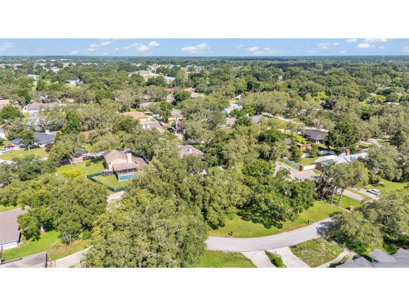 1230 Odoniel Loop S Lakeland FL 33809 L4954393 image63