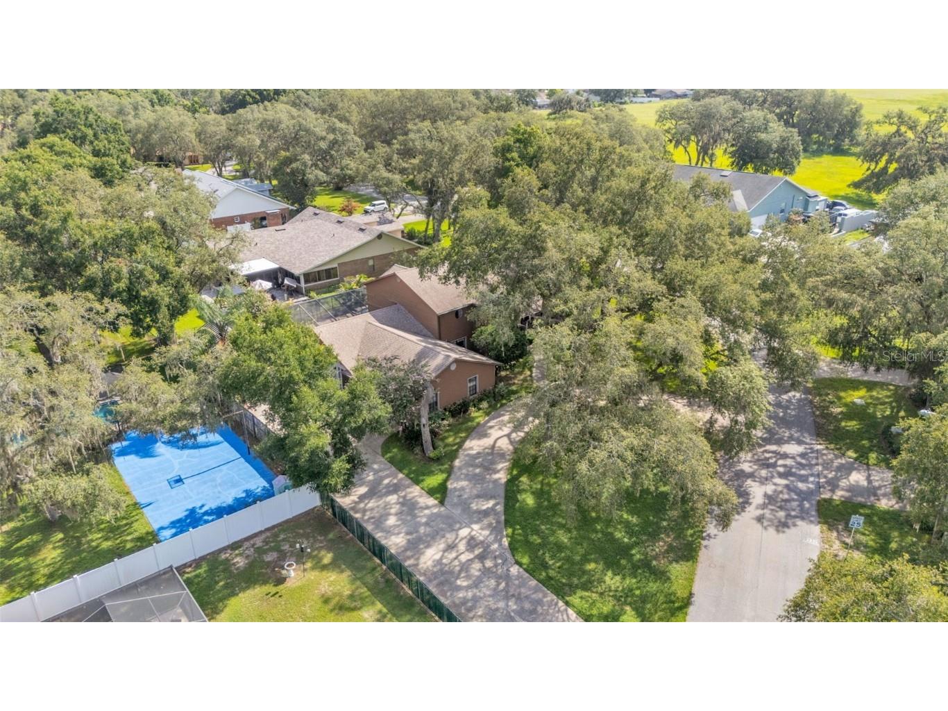 1230 Odoniel Loop S Lakeland FL 33809 L4954393 image66