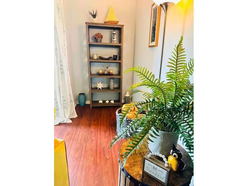 1230 S Missouri Avenue #708 Clearwater FL 33756 TB8457462 image10