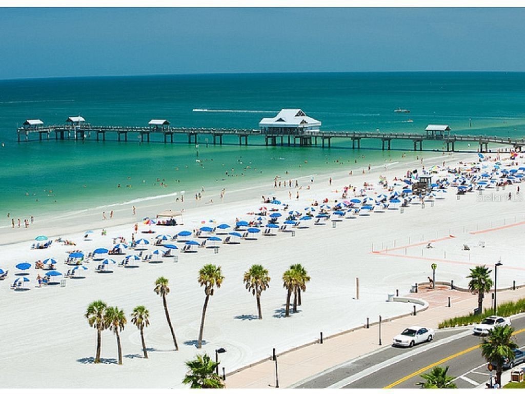 1230 S Missouri Avenue #710 Clearwater FL 33756 TB8448420 image44