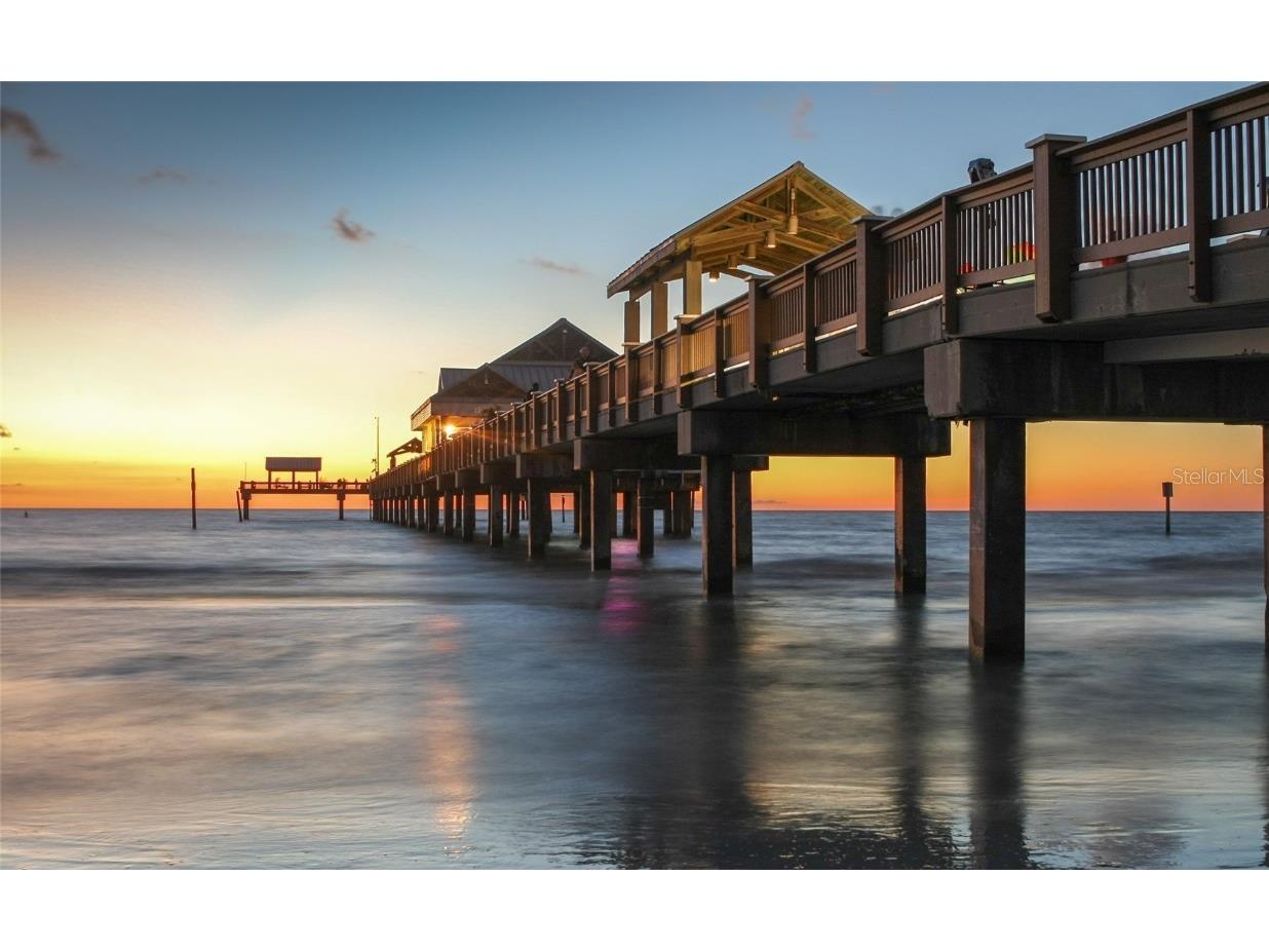 1230 S Missouri Avenue #710 Clearwater FL 33756 TB8448420 image49